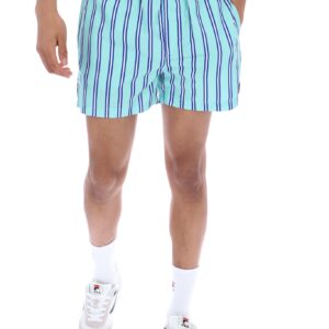 Parsa Stripe Printed Swim Shorts – 3XL