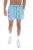 Parsa Stripe Printed Swim Shorts – 3XL