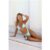 Sunny Squeeze Bikini Top Malibu Blue