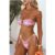 Floral Frequency Bikini Top Raspberry Ripple