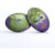 Gilbert Rugby Gilbert Frankie Leisure Ball – Size: Sz 5