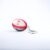 Gilbert Rugby Gilbert Wales Keyring – Country Colours