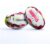 Gilbert Rugby Gilbert EPCR Challenge Cup Final Supporter Ball – Size: Sz 5