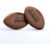 Gilbert Rugby Gilbert Gallagher Prem Rugby Vintage Ball 25-26 – Size: Sz 5 – Dark Tan