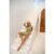 HELLO MOLLY Cabo Swim Top Green